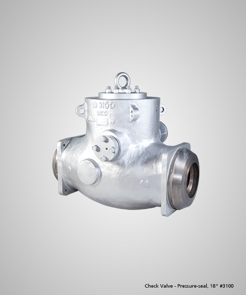 check-valve-pressure-seal-18-3100