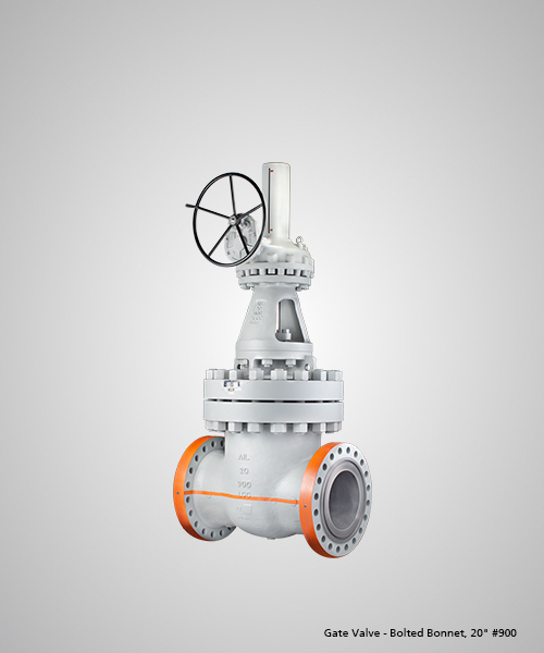 gate-valve-bolted-bonnet-20-900