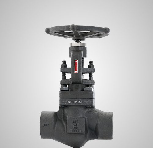 forged-steel-globe-valve-500x484